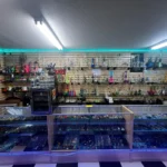 Wide variety of glass bongs, rigs, hand pipes, bowls, spoons, and bangers available at Doniphan Smoke Shop.