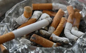 Close-up of filtered cigarettes in an open box showing the tan filter tips and white paper tubes at El Paso Smoke Shops