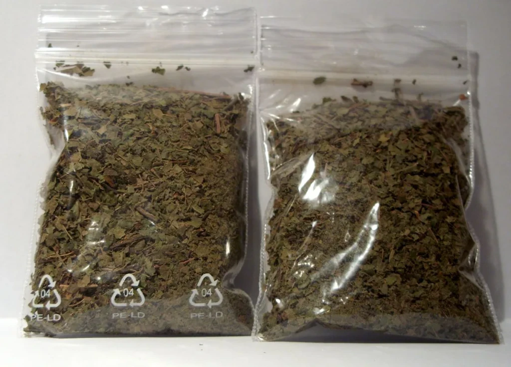 Bag of finely milled green kratom powder, the Mitragyna speciosa botanical used to make kratom drinks and shots, at El Paso Smoke Shops
