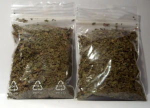 Bag of finely milled green kratom powder, the Mitragyna speciosa botanical used to make kratom drinks and shots, at El Paso Smoke Shops