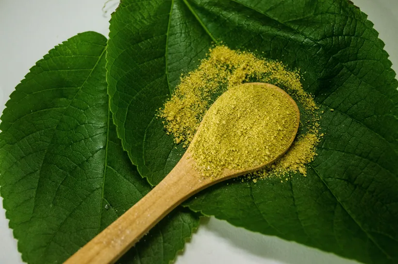 Green kratom powder on a wooden spoon resting on broad green kratom leaves at El Paso Smoke Shops