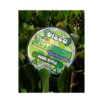 Chapo Disco Magic Mushroom Gummies 2ct in El Paso thumbnail
