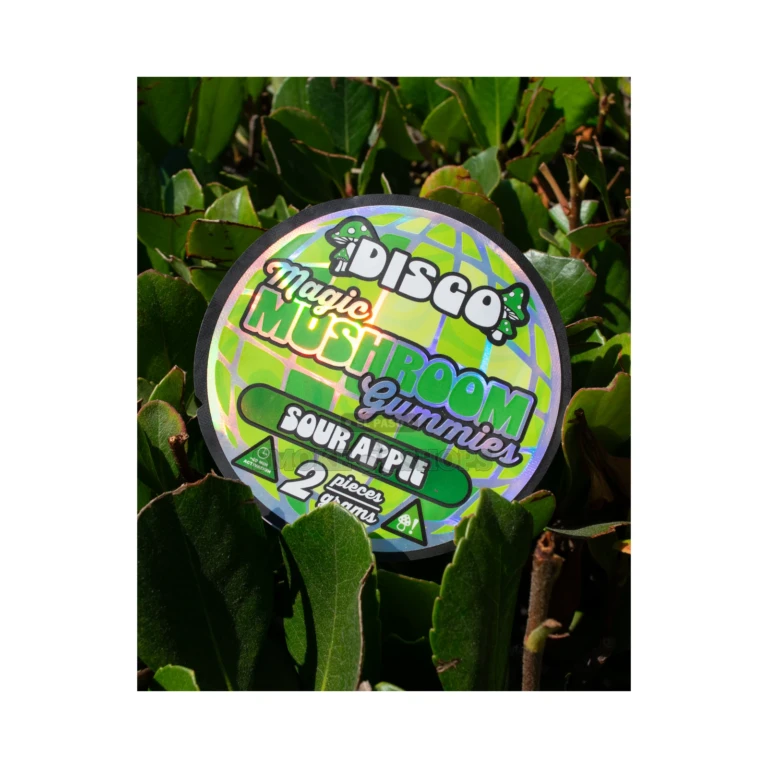 Chapo Disco Magic Mushroom gummies 2ct package back detail in El Paso, 2 gummies per sachet, in stock at 10 stores
