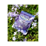 Chapo Disco Magic Mushroom Gummies 8ct in El Paso thumbnail