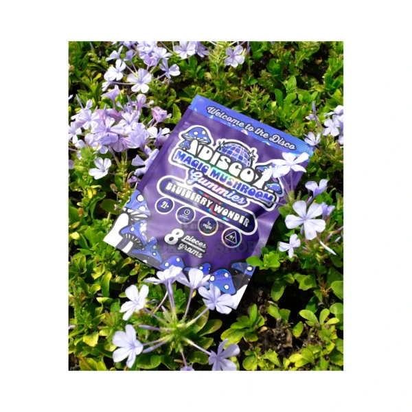 Chapo Disco Magic Mushroom gummies 8ct resealable pouch in El Paso, vegan functional mushroom gummies, same-day pickup