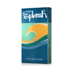 Djarum Clove Filtered Cigars in El Paso, Pack of 12 thumbnail