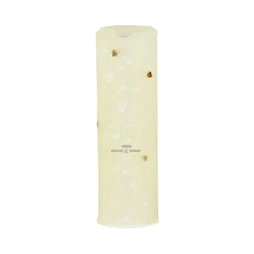 RAW Garden Plantable Tips El Paso close-up, organic seeded wax rolling tips, no glue needed, pickup today