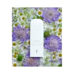Ripple+ Zero Nicotine Aromatherapy Diffuser, 1000 Puffs thumbnail