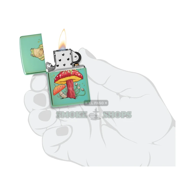 Zippo Mystical Frog 48973 in its gift box ready to give