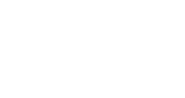 Aledinha brand logo