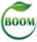 Boom brand logo