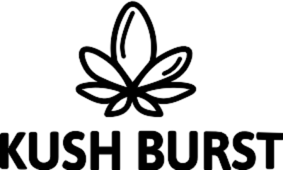 Kush Burst brand logo