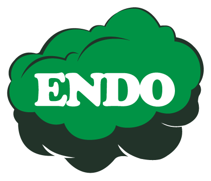 Endo brand logo