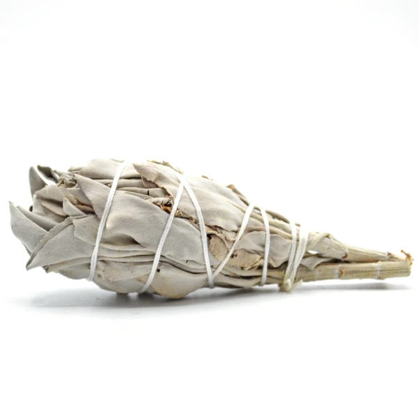 White Sage Smudge Bundle, a hand-tied bundle of California white sage leaves wrapped in cotton string in a cardboard box