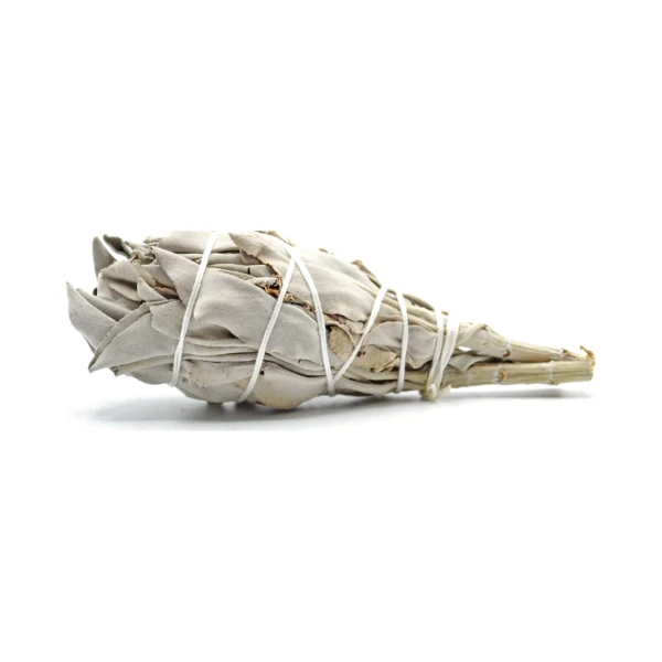White Sage Smudge Bundle, a hand-tied bundle of California white sage leaves wrapped in cotton string in a cardboard box