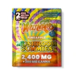 Wunder 2ct Mushroom Gummies 2,400mg in El Paso, 5 Flavors thumbnail